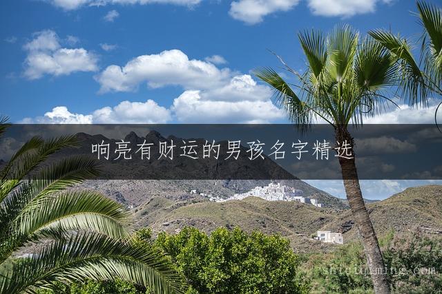 响亮有财运的男孩名字精选