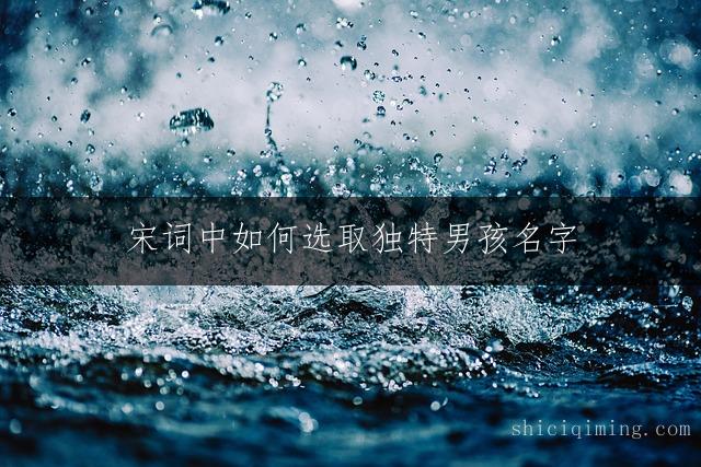 宋词中如何选取独特男孩名字