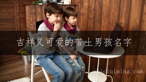 吉祥又可爱的带土男孩名字,让宝宝福气满满