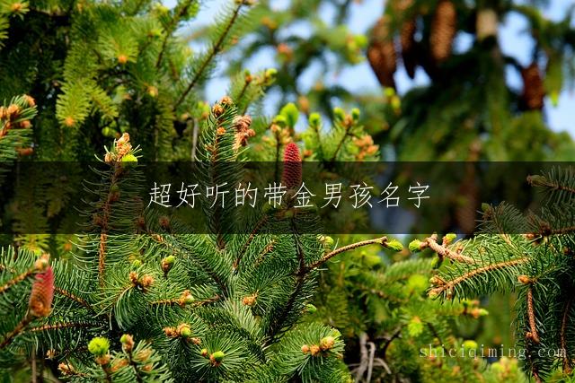 超好听的带金男孩名字 五行属金的可爱宝宝名字精选