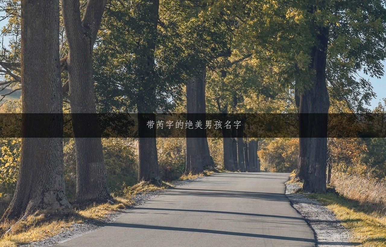 带芮字的绝美男孩名字，寓意非凡，幸福伴随一生