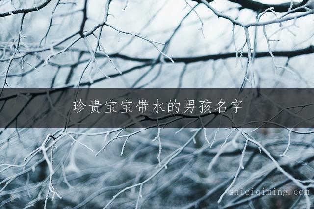 珍贵宝宝带水的男孩名字