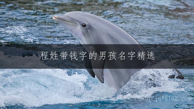 程姓带钱字的男孩名字精选
