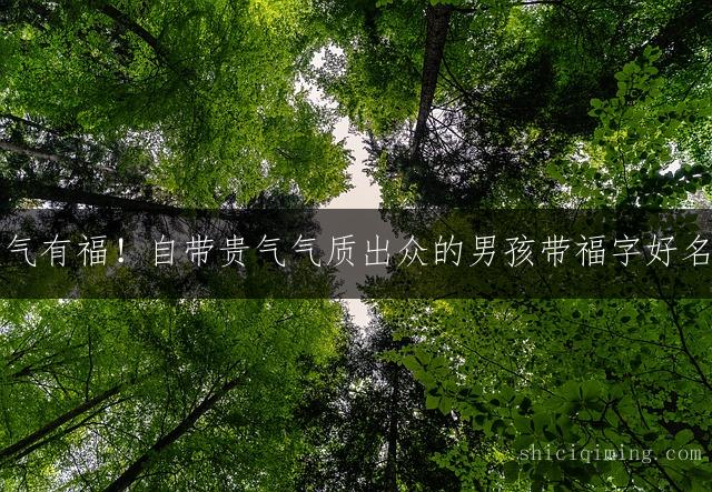 大气有福！自带贵气气质出众的男孩带福字好名字