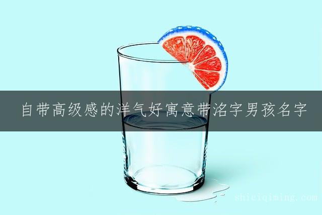 自带高级感的洋气好寓意带洺字男孩名字