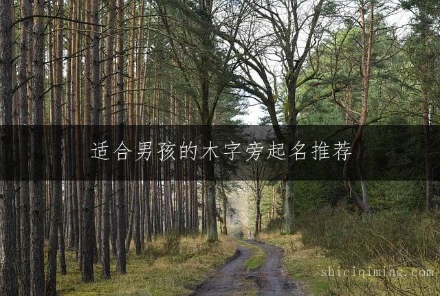 适合男孩的木字旁起名推荐