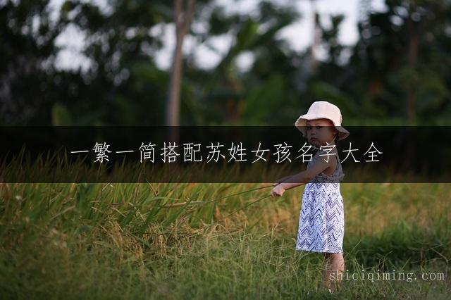 一繁一简搭配苏姓女孩名字大全