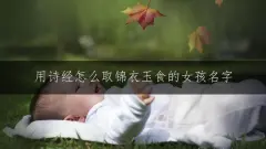 用诗经怎么取锦衣玉食的女孩名字